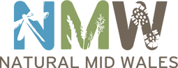 Natural Mid Wales logo