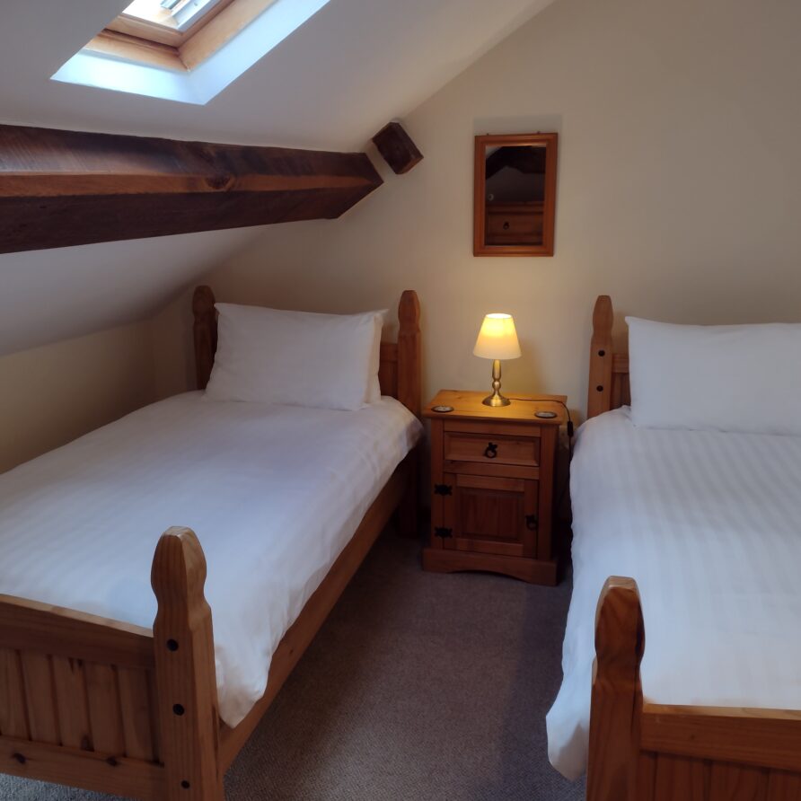 Two pine beds flank a bedside cabinet with a lamp on top. There is a mirror on the wall at the head end of the beds.