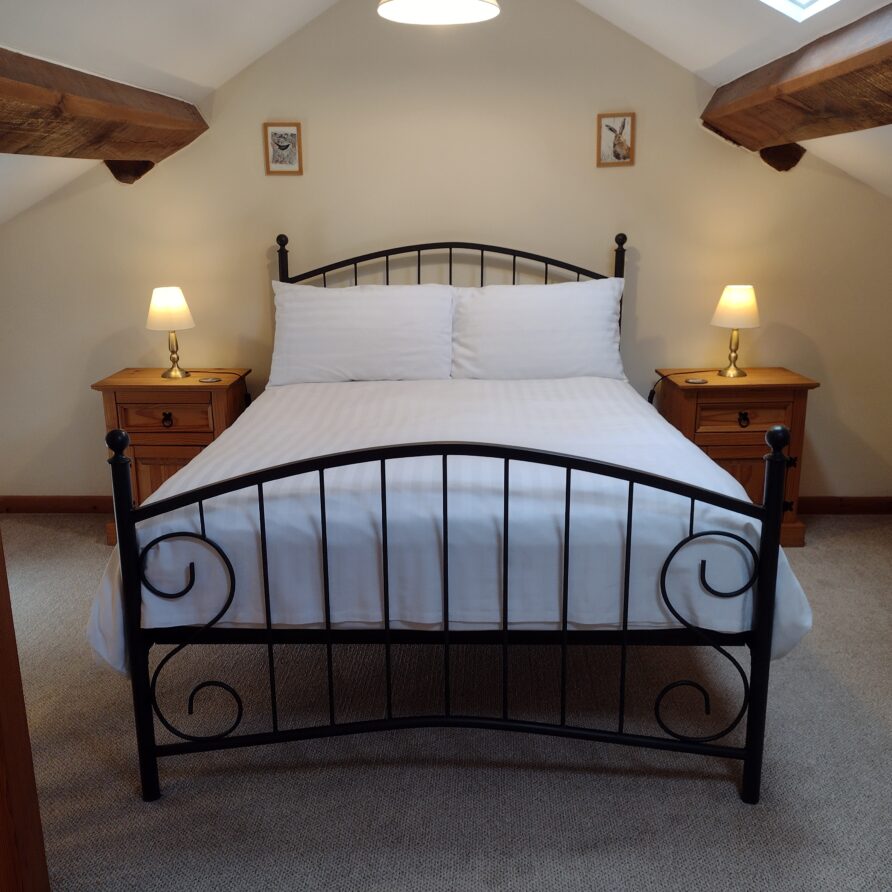 A black iron bedstead with a deep mattress. There are bedside cabinets and table lamps either side.