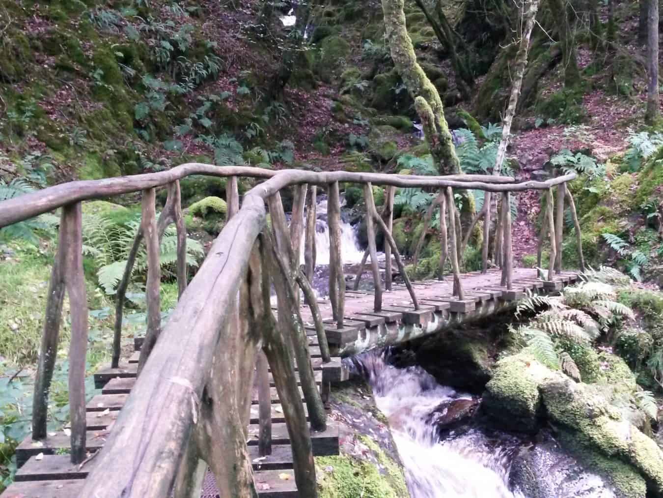 A rustic bridge over the Ystwyth in the Hafod Estate.